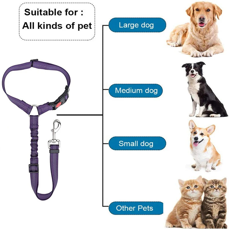 2-in-1 Pet Car Seat Belt