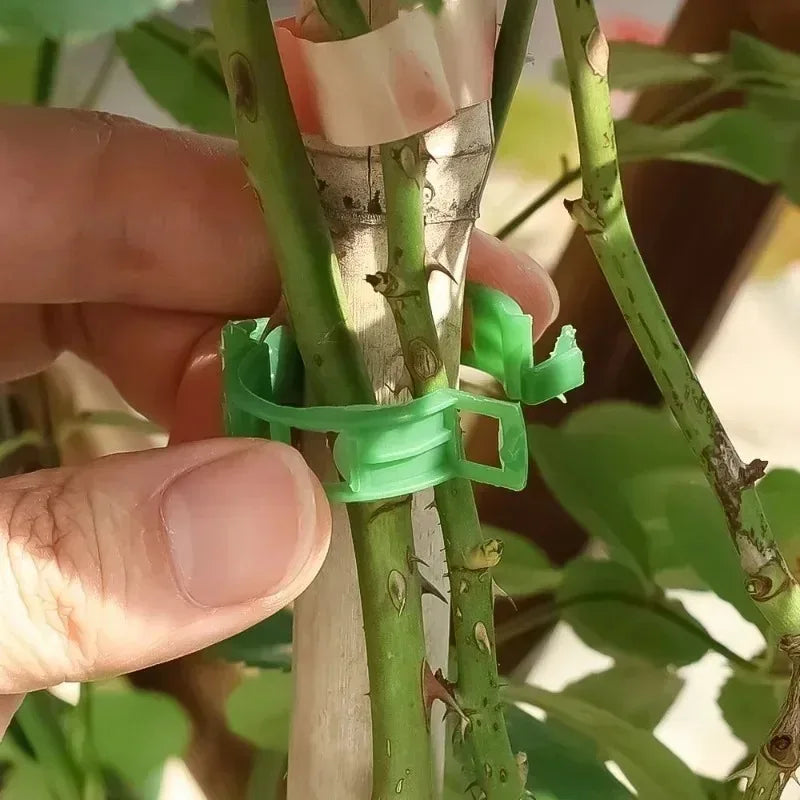 Reusable Plant & Vine Support Clips