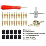 Tire Valve Core Tool Kit (33 Pcs)