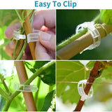 Reusable Plant & Vine Support Clips